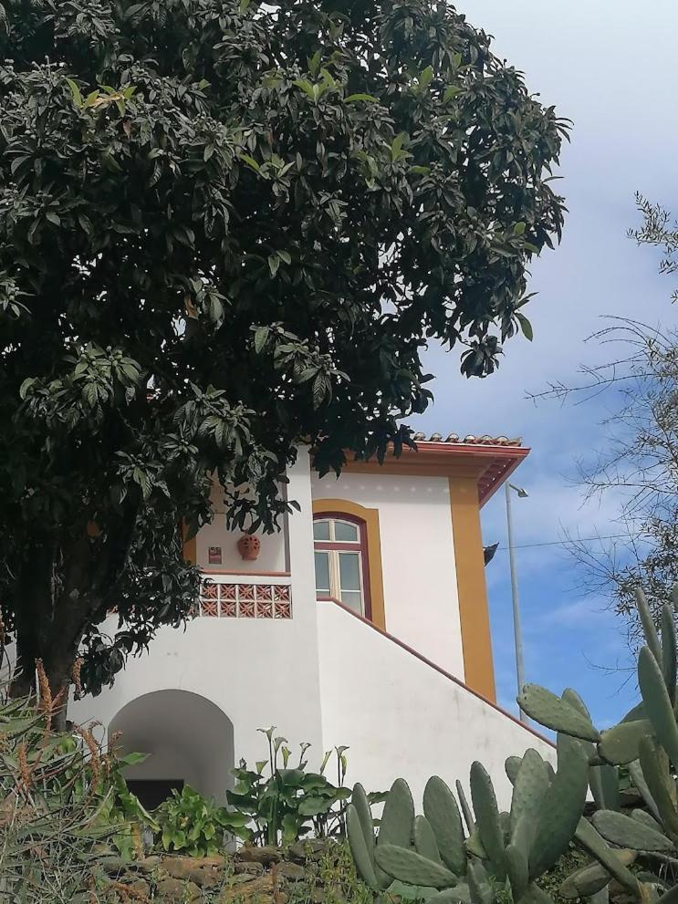 Quinta Do Americano Sardoal Exteriör bild
